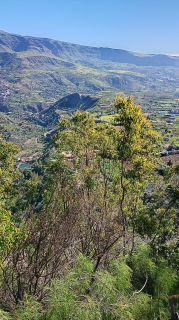 GC-Mirador Las Tirajanas (Tunte) 2026-16.jpg